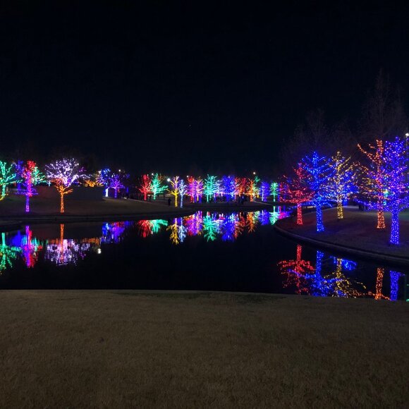 THINGS MUST GO! - Picture 1 of 1